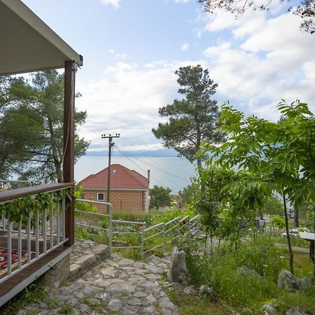 Among The Trees Villa Široka Екстериор снимка