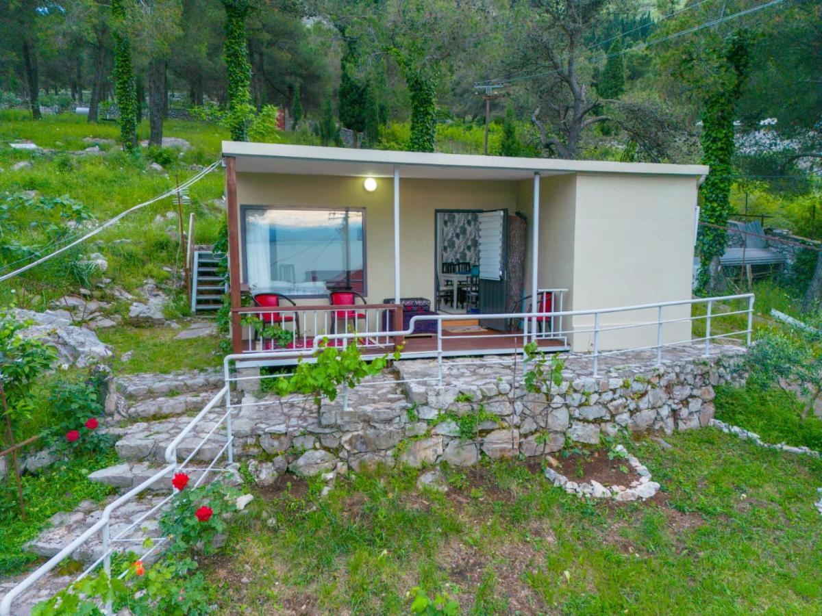 Among The Trees Villa Široka Екстериор снимка