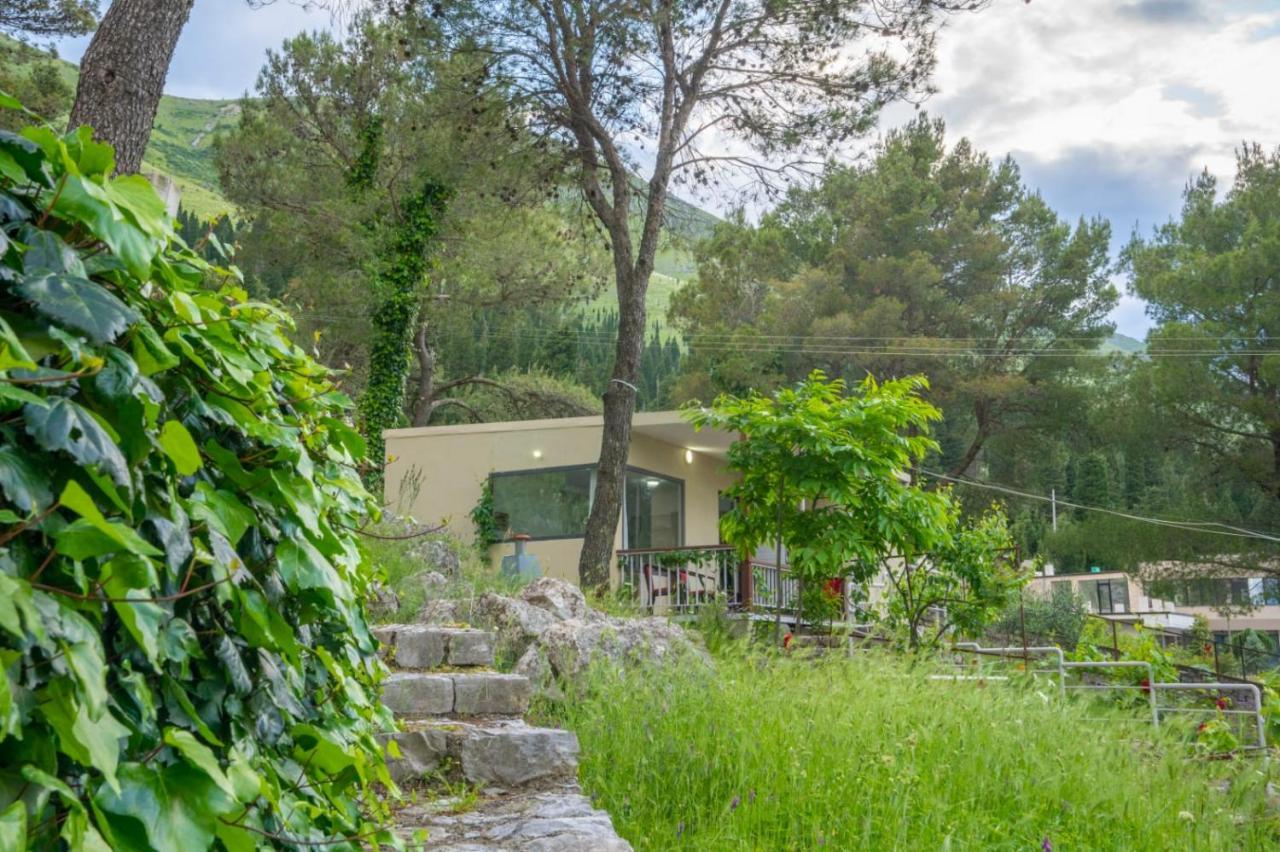 Among The Trees Villa Široka Екстериор снимка